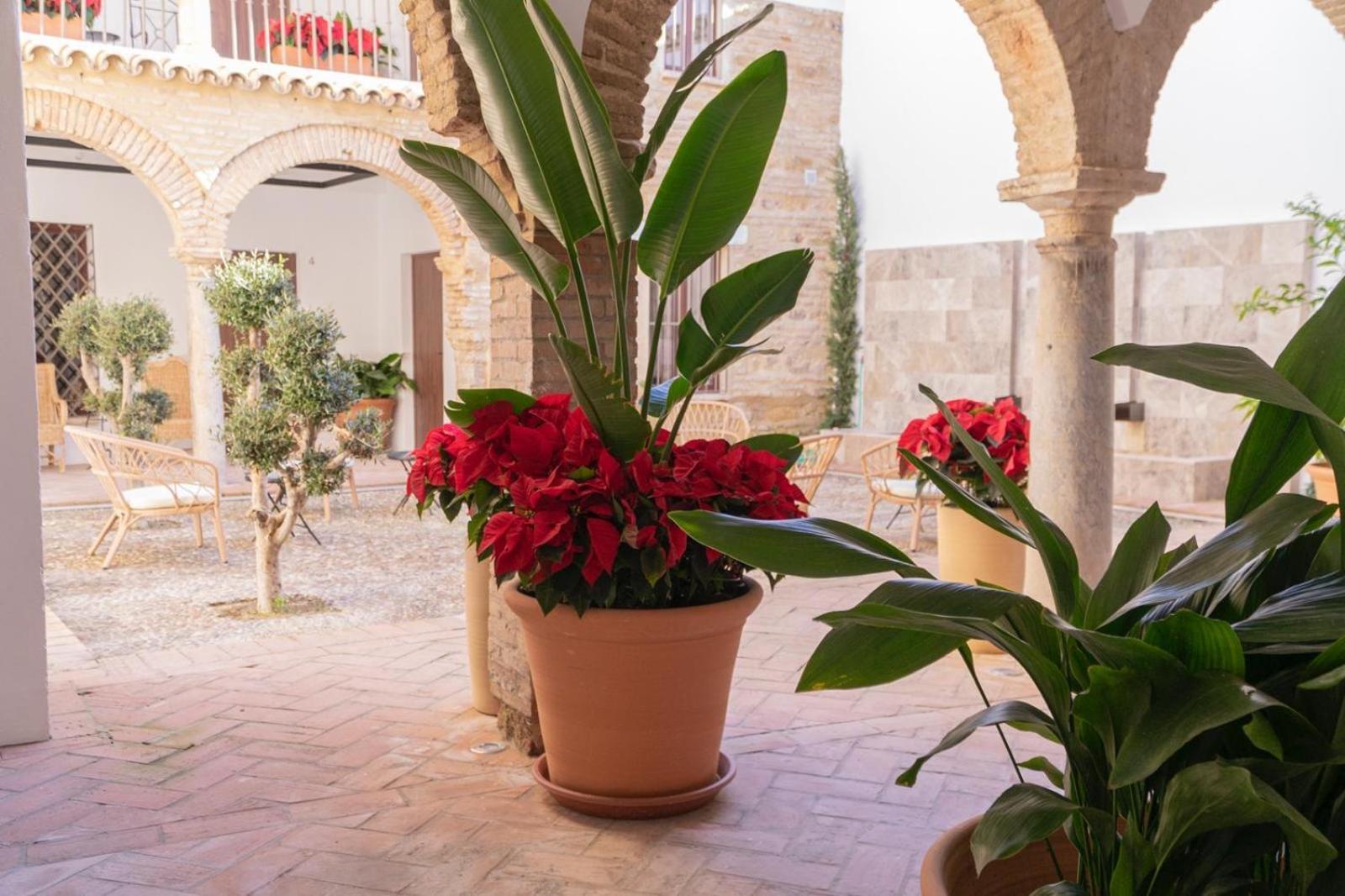 Corazon 23 Lägenhet Córdoba Exteriör bild